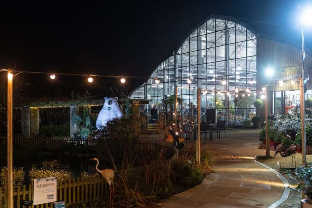 The annual Christmas market returning to Groves Nurseries this November