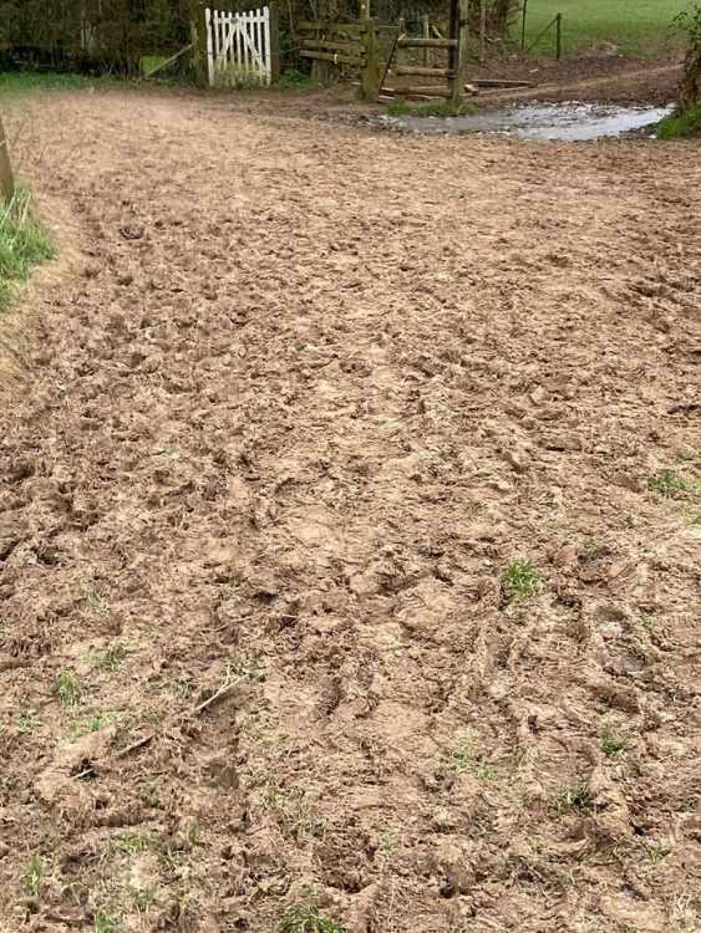 The mud has frozen in the recent cold weather, making is slippery to walk over (photo by Ian Priestly)