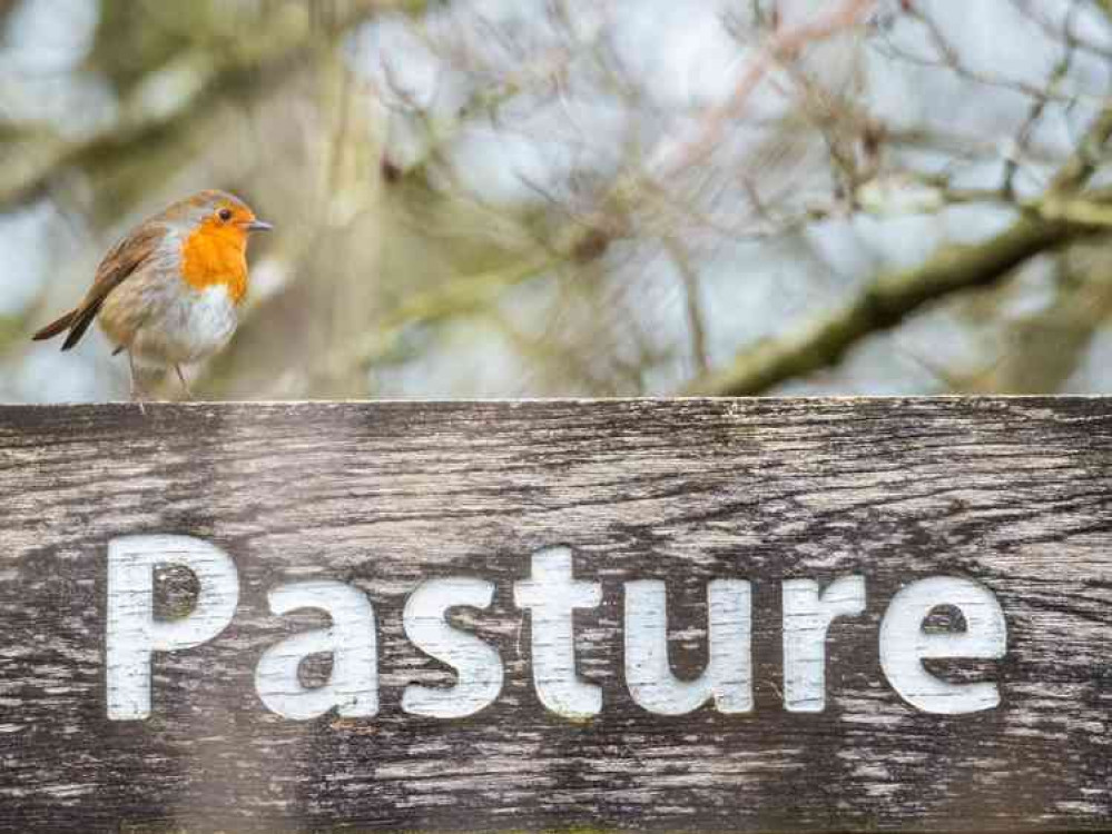 Robin sat upon Dane in Shaw pastures sign