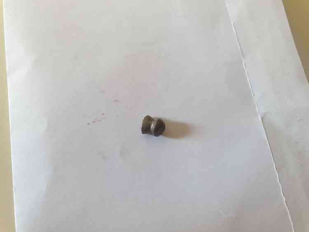 Pellet that Minho was shot with