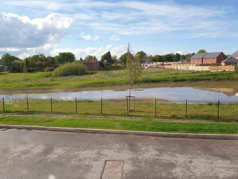 A view of the site.