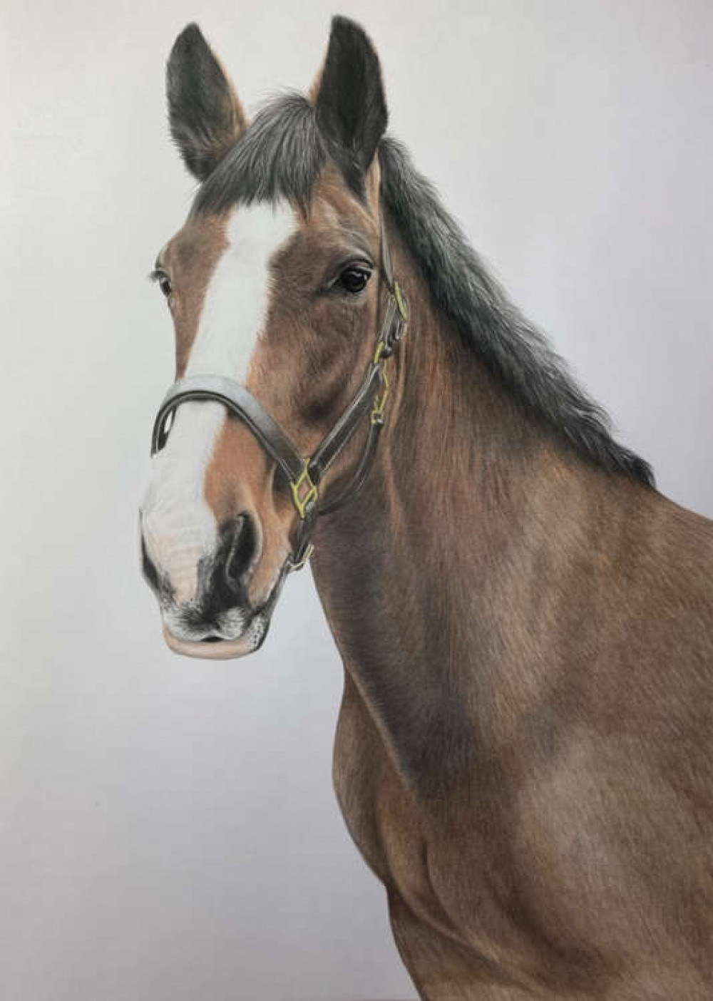 Macclesfield horse Jess is photogrealistic in Karen's artwork. (Image - @farrow.karen.petportraits)