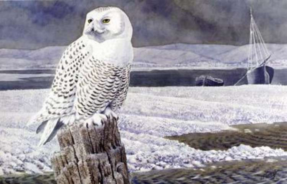 The artist's piece called 'A Snowy Owl, Anglesey', which was where the Macclesfield-born artist died. The artist's piece called 'A Snowy Owl, Anglesey', which was where the Macclesfield-born artist died.