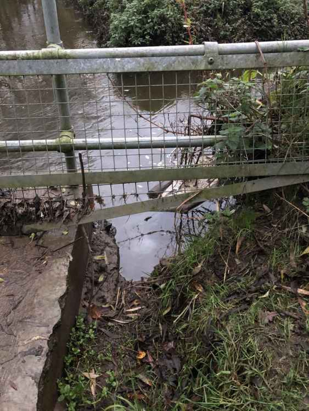 Cllr Mannion said the fences appear to have been damaged since 2015 (Image: Mike Lo Bosco).