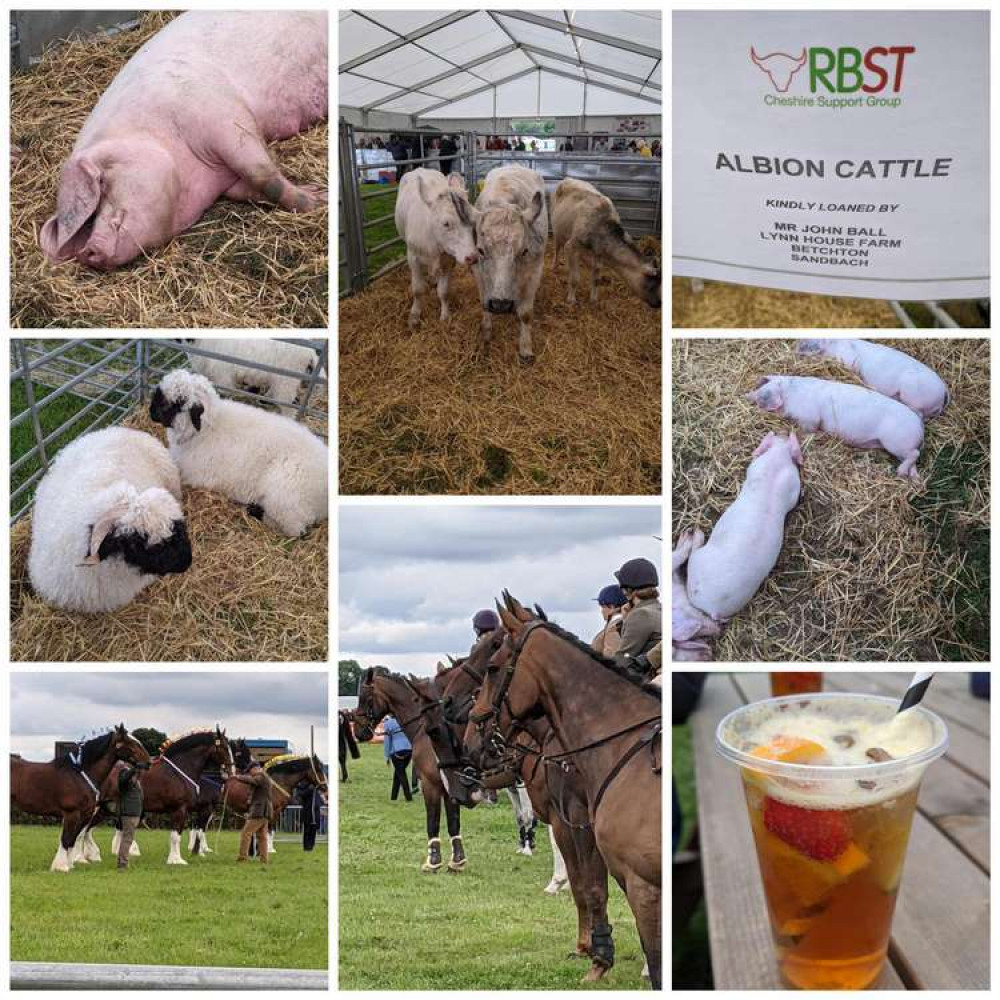 Cheshire Show 2021