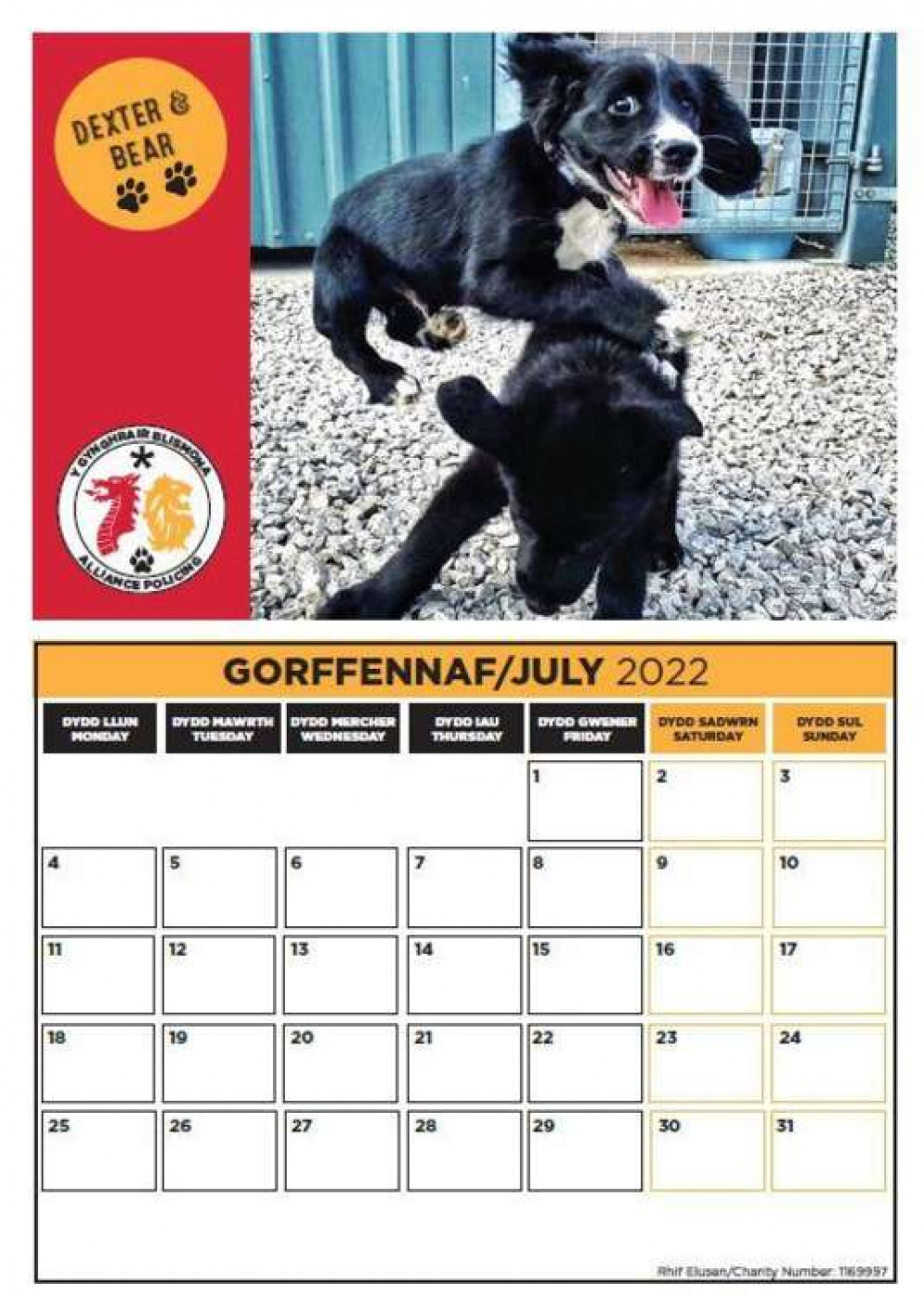 Dog calendar July