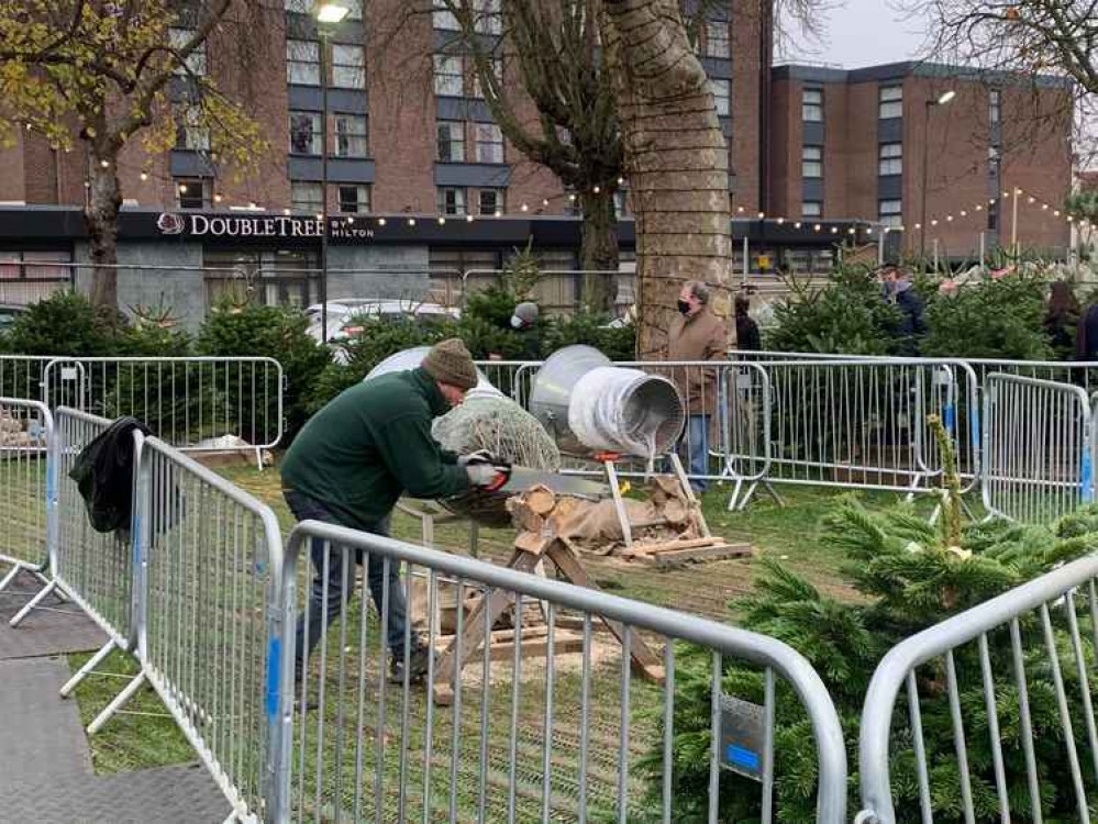 An employee hard at work getting a tree ready for a customer