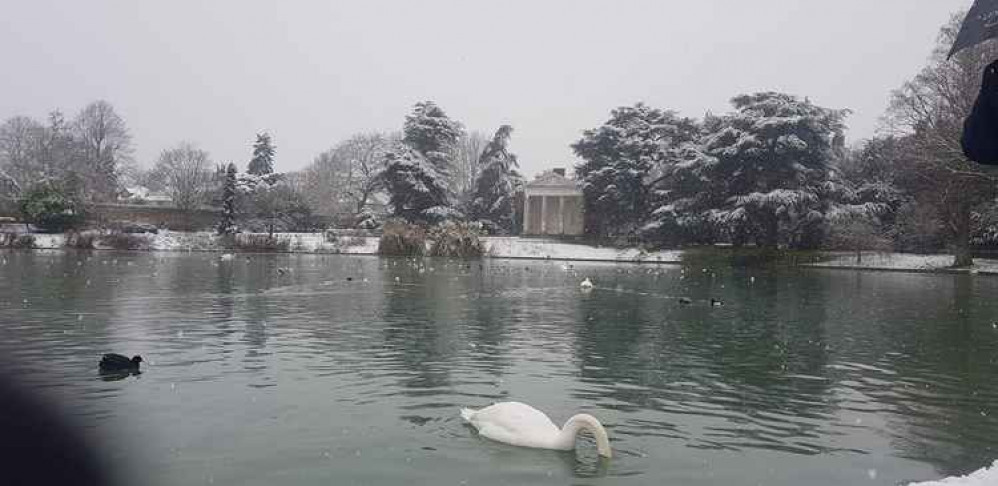 Gunnersbury Park. Image Credit: Marta Kapuscinska