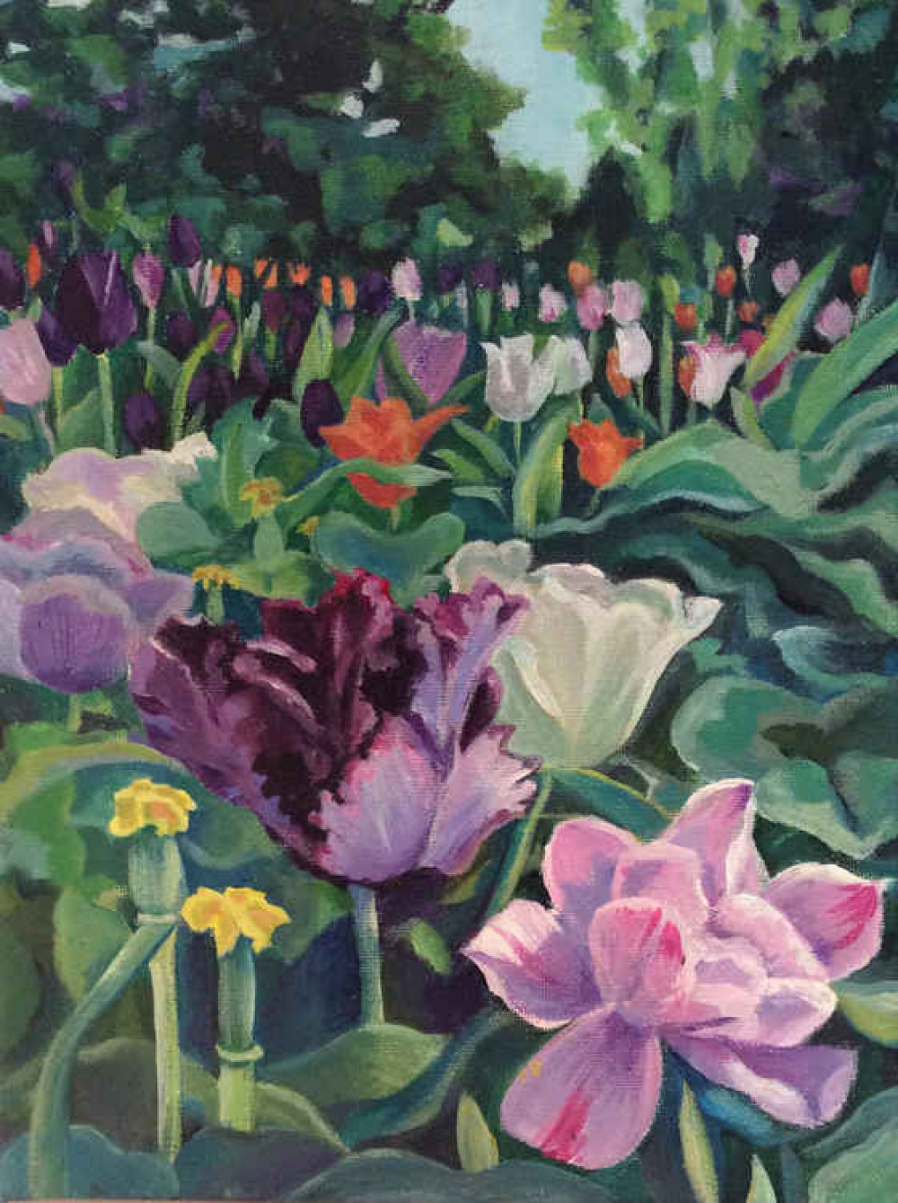 Tulip crowd at Gunnersbury Park 30 x 23cm - £50