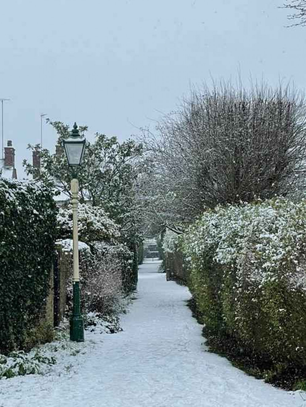 Beautiful Ealing in the snow. Image Credit: Charlotte Sheehan