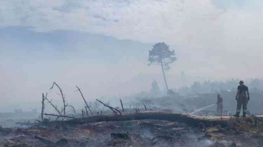 The fire at Wareham Forest has been burning for six days (photo credit: Dorset & Wiltshire Fire and Rescue Service)