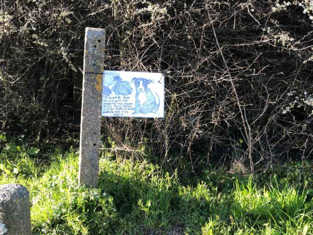 The sign Eva Smith put up in Northolt's Lime Tree Park, made by Jane Ruhland. Image Credit: Eva Smith