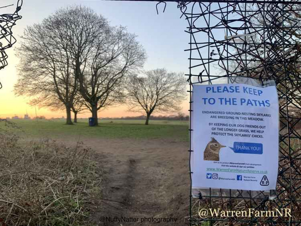 Warren Farm has been asking visitors to please keep to the paths in order to protect skylarks' ground-nesting and their chicks from coming to any harm. Image Credit: Warren Farm Nature Reserve Twitter