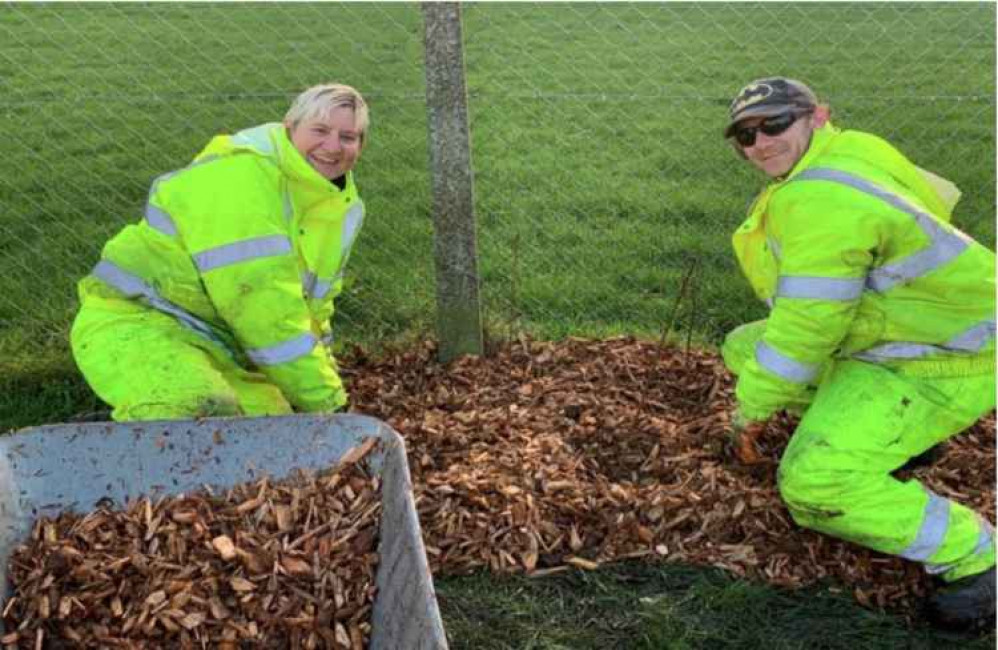 GEL staff will start clearing weeds, cutting back brambles and preparing the soil for planting between June 7-9. Image Credit: Ealing Council