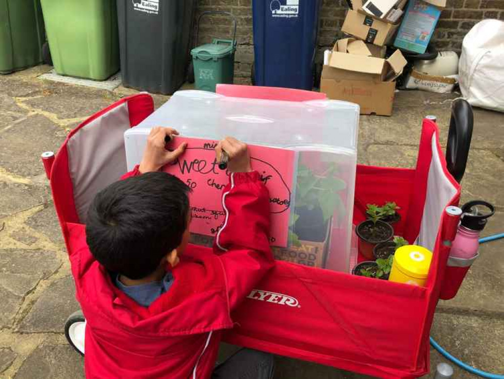 If you're interested in buying some seedlings from Adi and his mum, you will find them on the corner of Hillcrest and Park View Road near St Augustine's Priory, usually from 11am-1pm on a Sunday