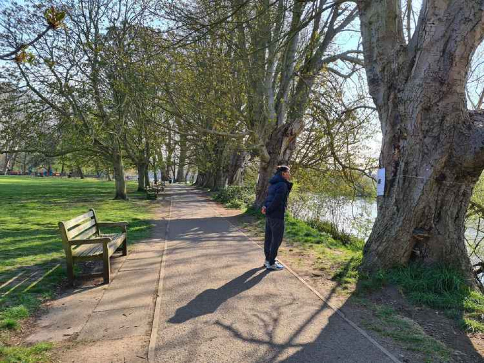 Park visitor checking out the removal signs