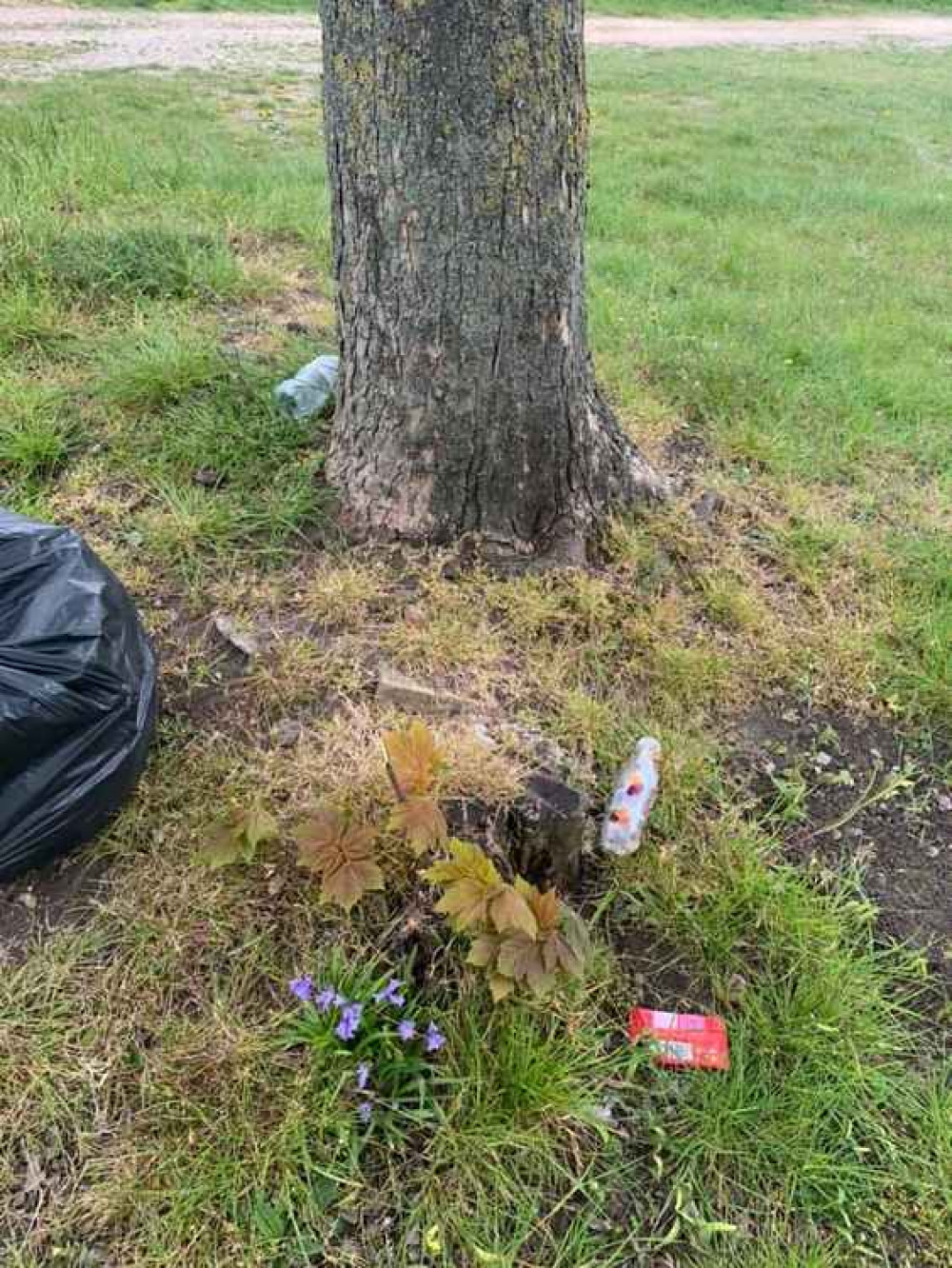 Stefka Grantcharov and her children litter picked for 100 minutes