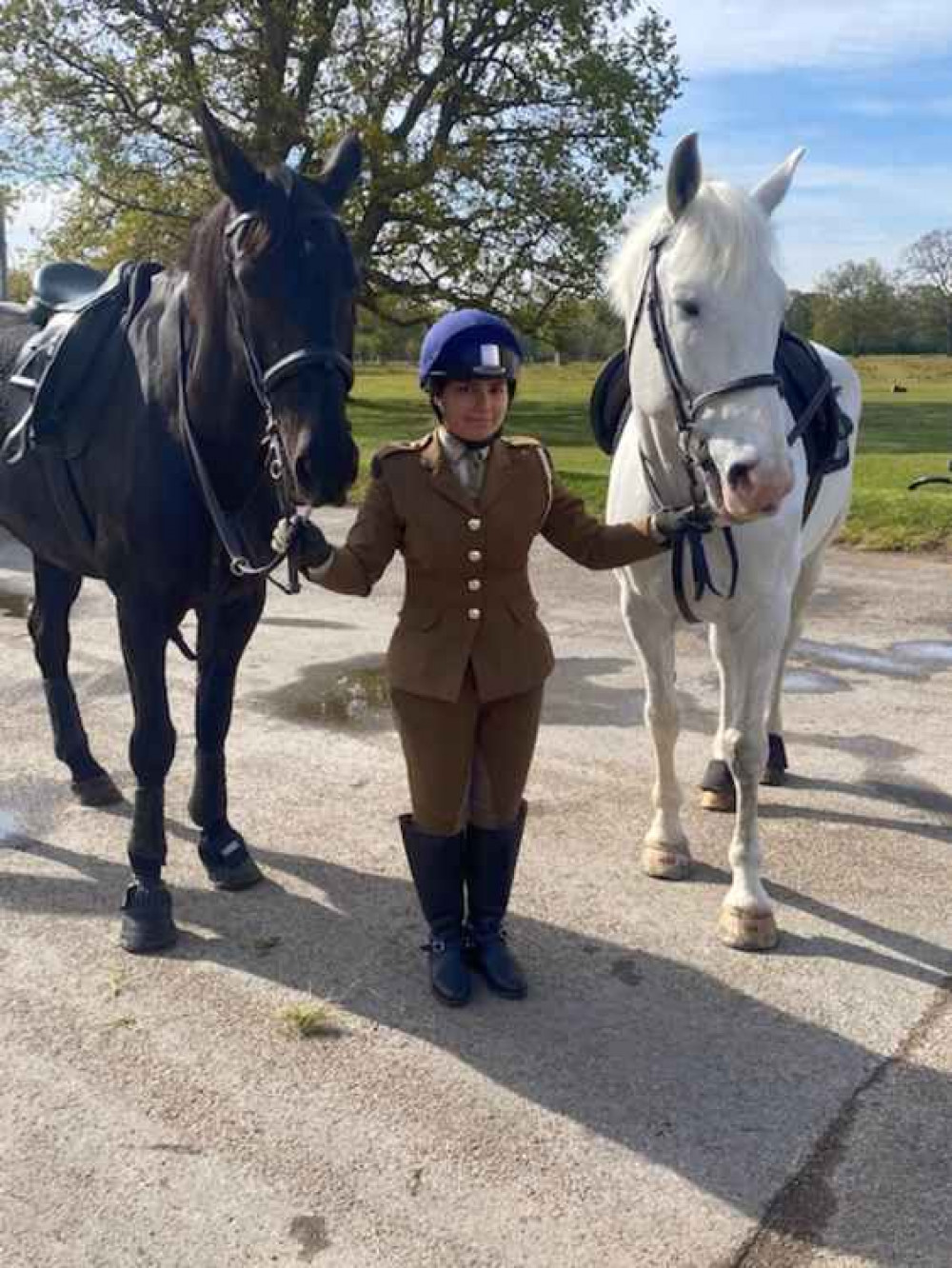 Hyderabad [left] and Twilight (AKA Sparkles) [right] a "small" 15 hands