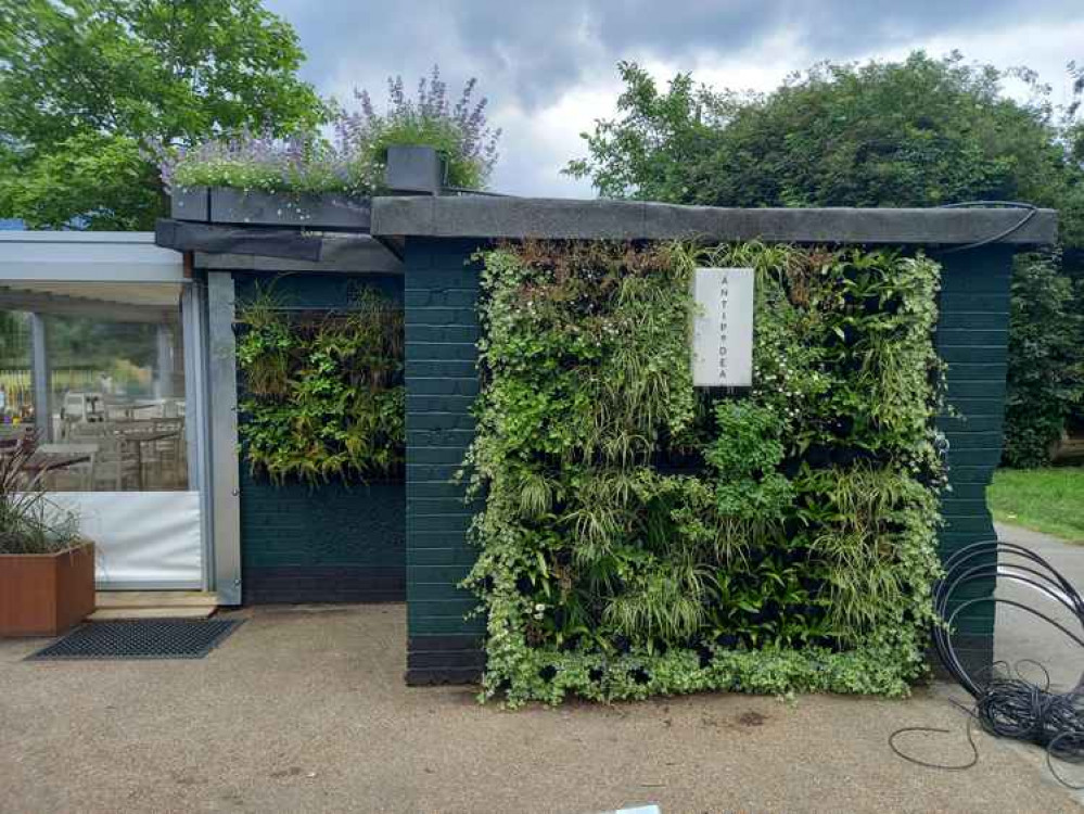 The door has a beautiful new plant wall (Image: Nub News)