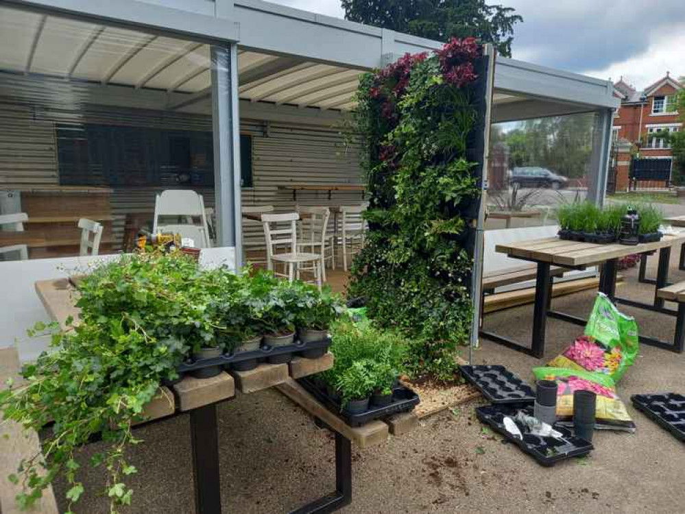 The plant wall being installed by The Plant Hunter (Image: Nub News)