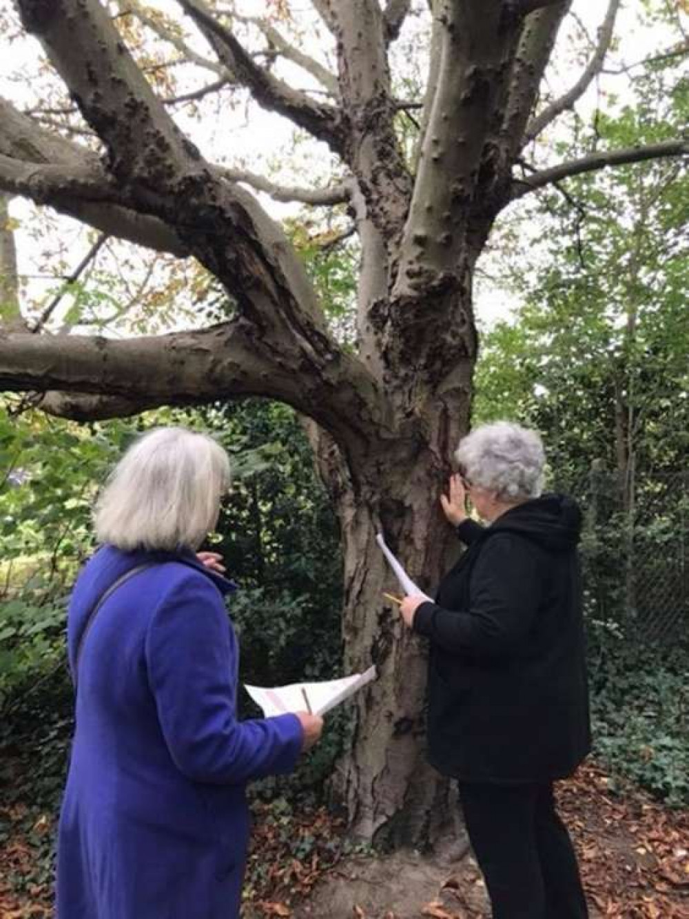 The Grow Wild in Richmond Parks initiative is a new conservation volunteering project.