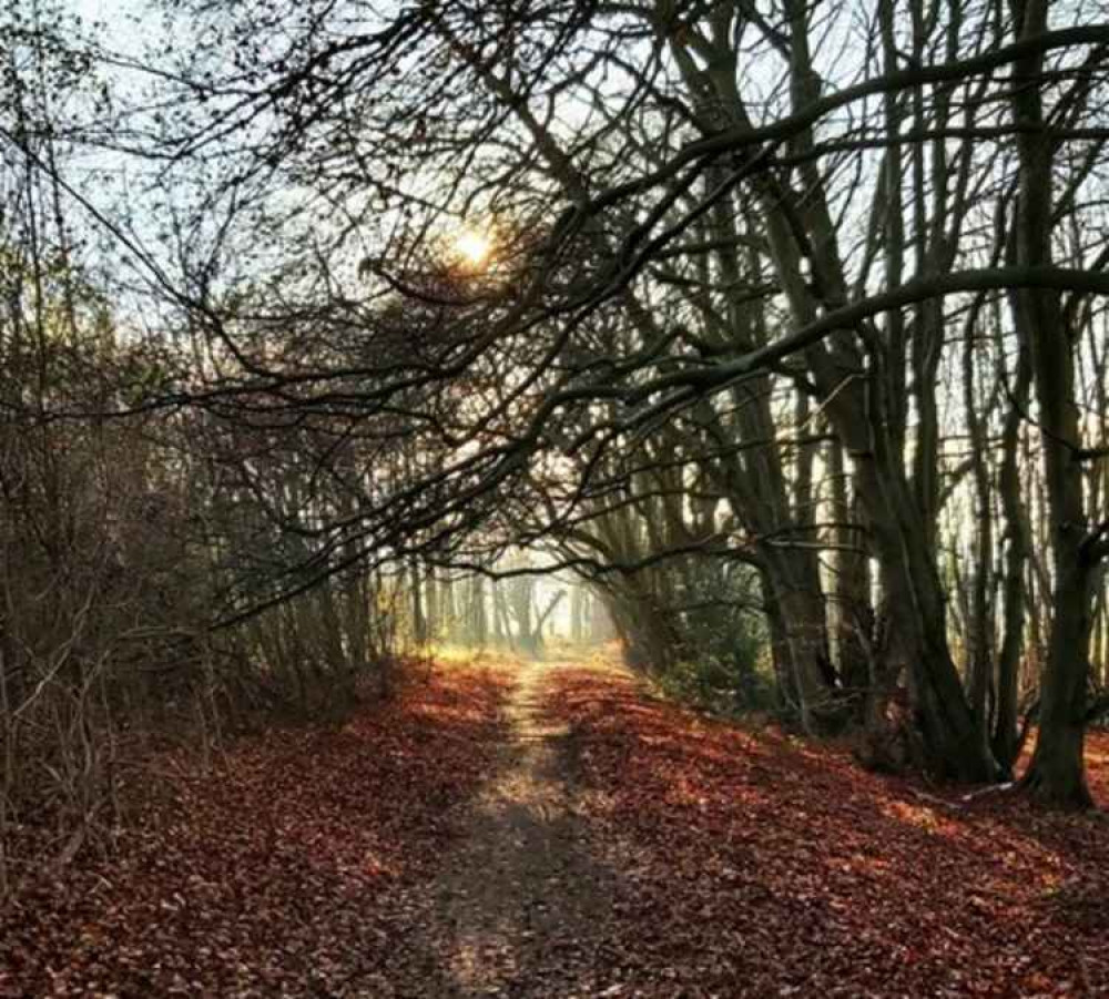 Sparky's Hitchin View:  Roots, Rock and Rebels: a walk back in time on the Icknield Way. CREDIT: 'Sparky'