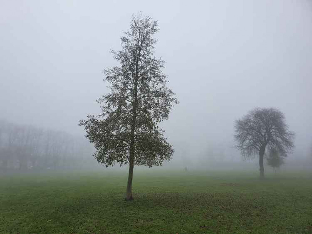 Hitchin daily briefing Monday December 7. PICTURE: A foggy Butts Close. CREDIT: Hitchin Nub News