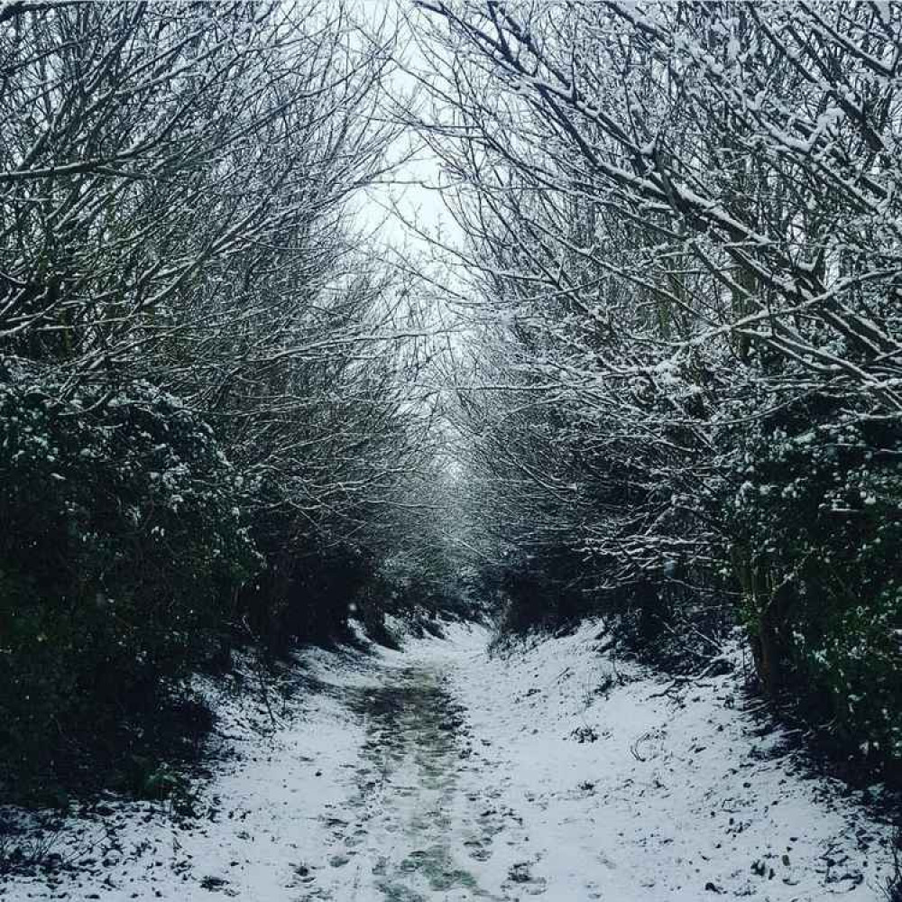 Hitchin - Charlton. CREDIT: Danny Pearson