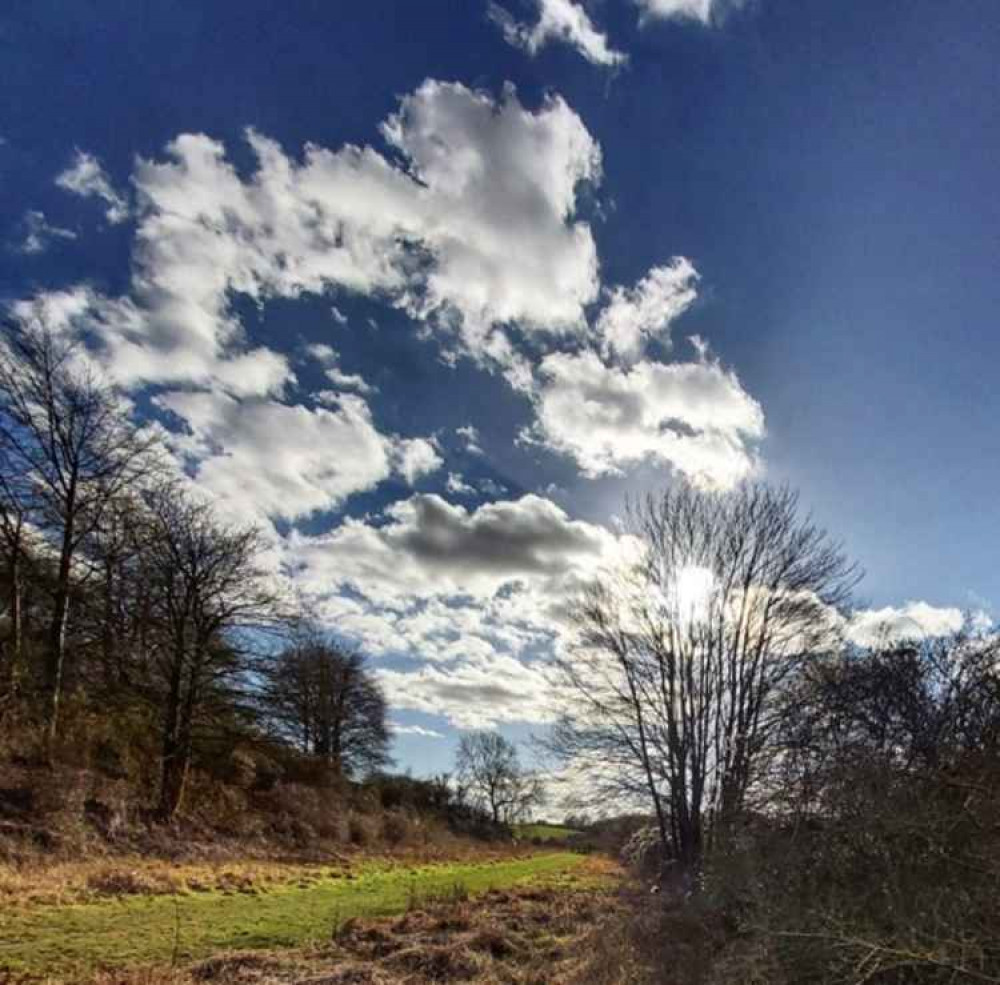 Sparky's Hitchin View: The brown hare - a truly magical beast of spring. CREDIT: Sparky