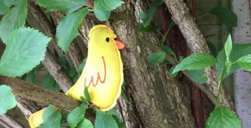 A club picture of one of their mini-mascot canaries. CREDIT: Hitchin Town FC