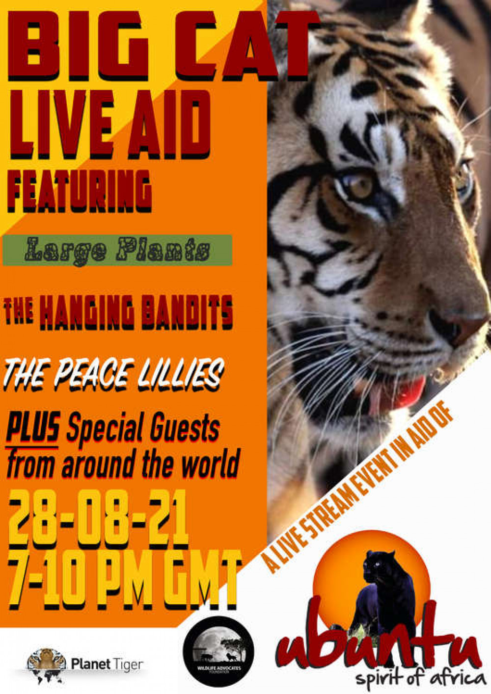 Hitchin: Don't miss Big Cat Live Aid charity music gig this weekend!