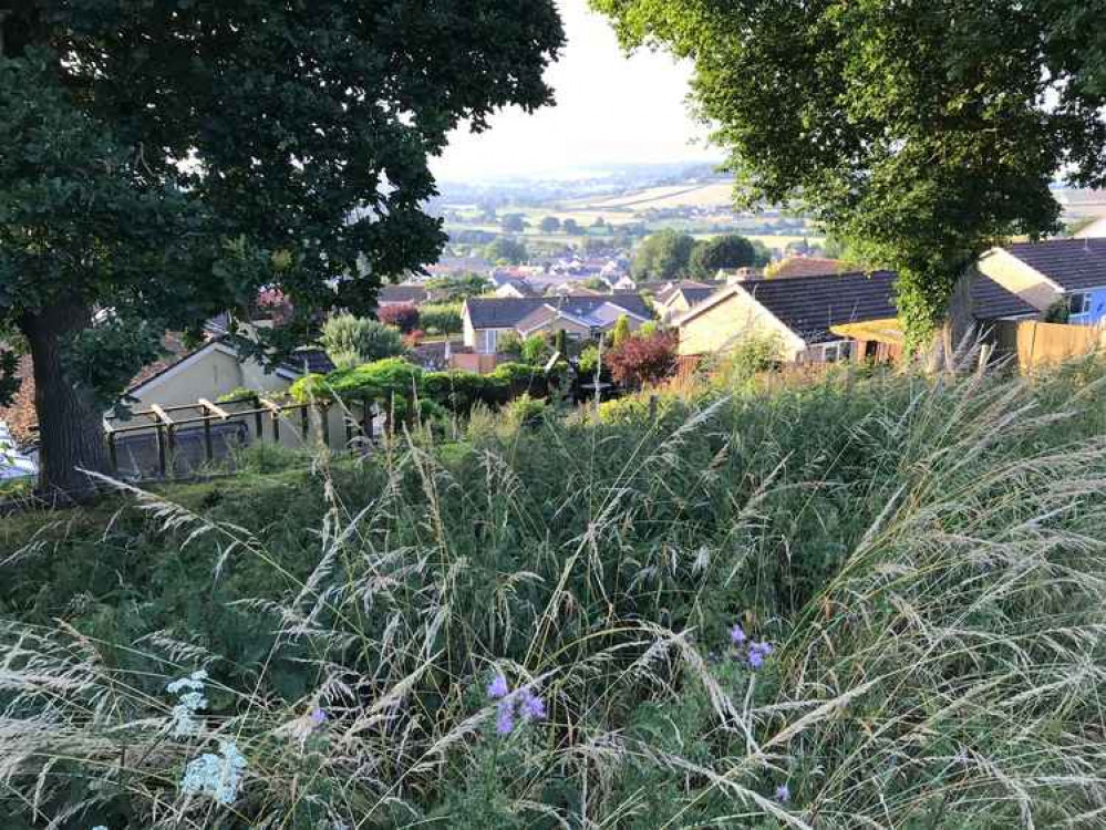 A survey in 2017 identified a need for some 36 affordable homes in Colyton and Colyford A survey in 2017 identified a need for some 36 affordable homes in Colyton and Colyford