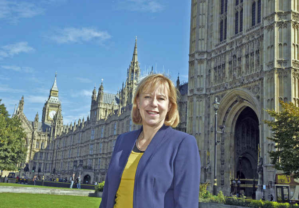 Ruth Cadbury says local authorities will be bypassed