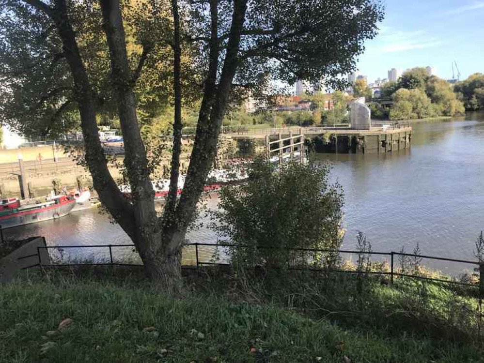 An inspection has been carried out on Brentford Dock trees