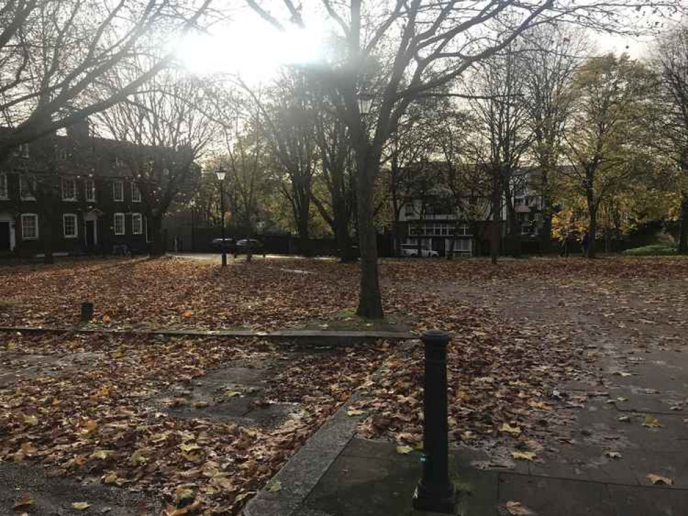 The Butts carpeted with winter leaves