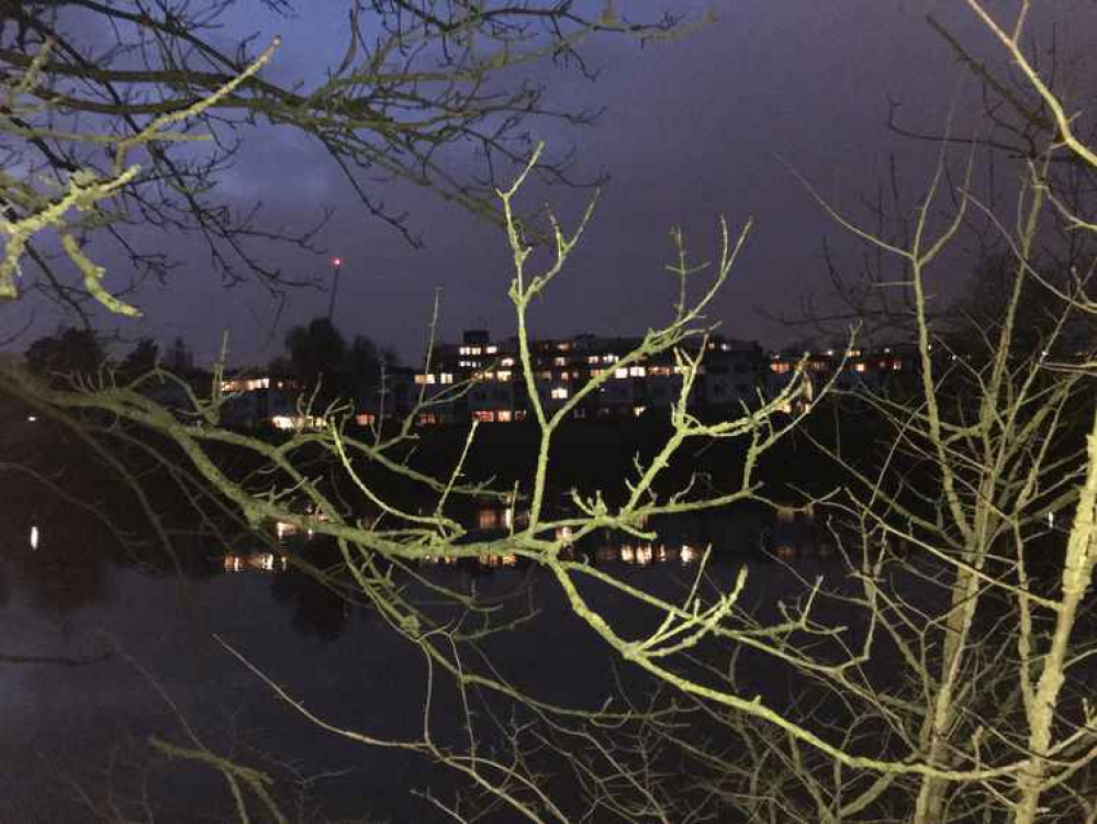 A view of Brentford Dock from the riverside near Kew Gardens