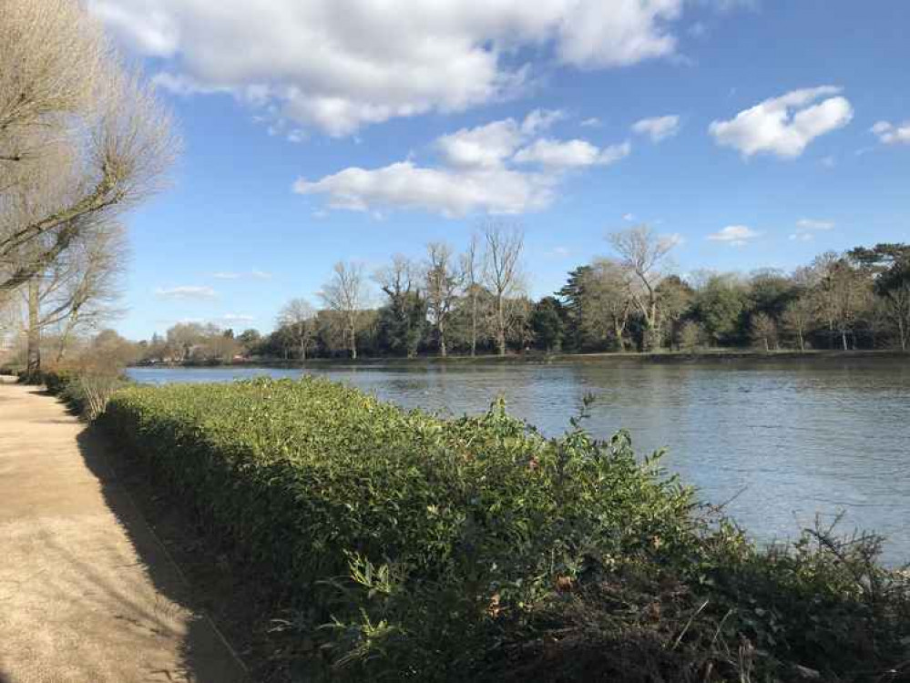 The Thames in all its sunny glory