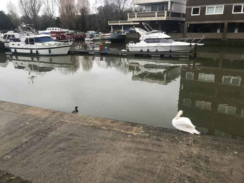 Artefacts were found before Brentford Dock was built