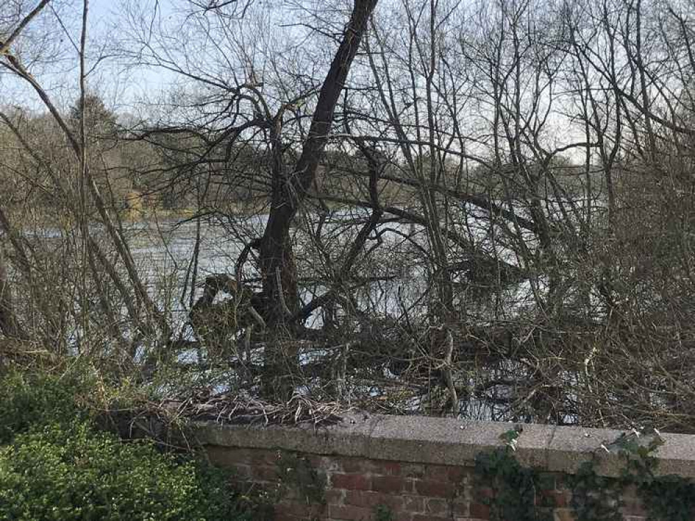 Flooding at land on the Syon Park side of Brentford Dock