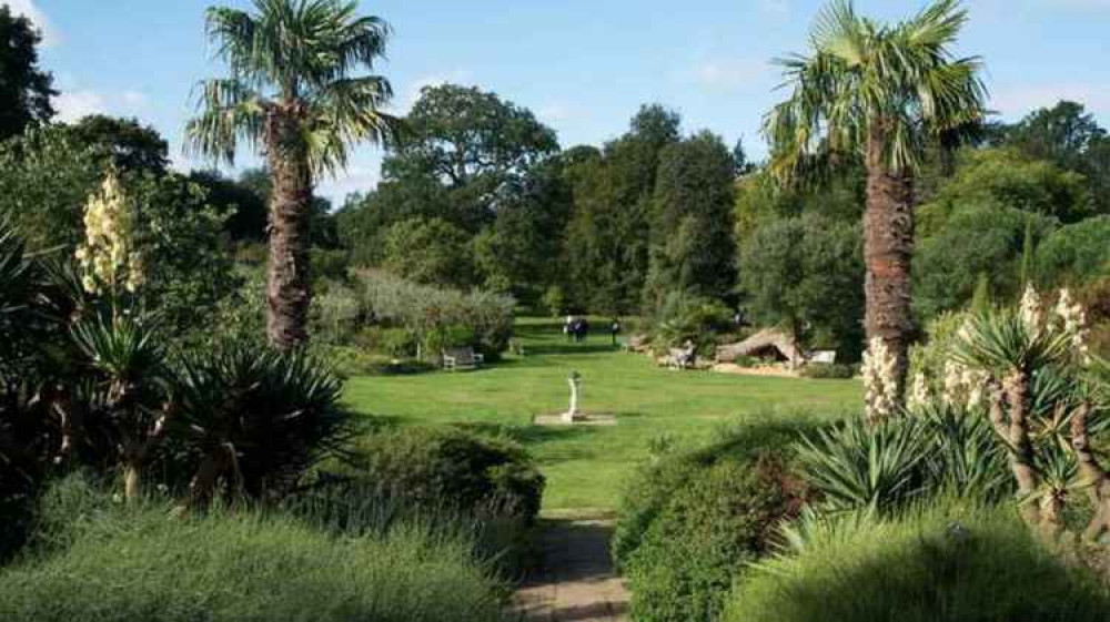 The Mediterranean Garden at Kew (picture: RGB Kew)