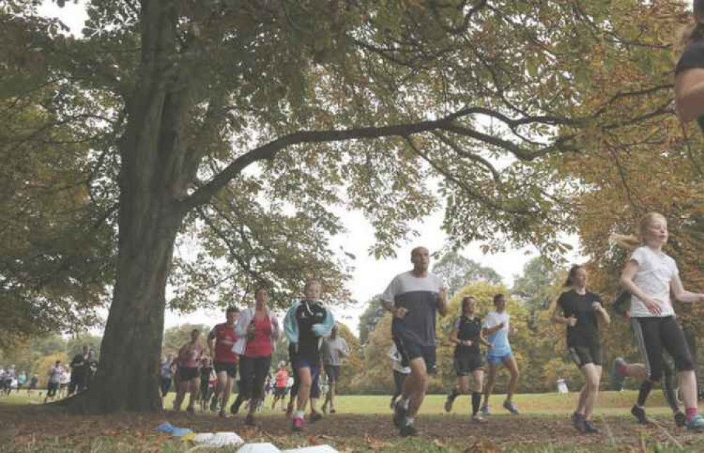 The original parkrun course at Bushy Park (Image: Kevin Wood)