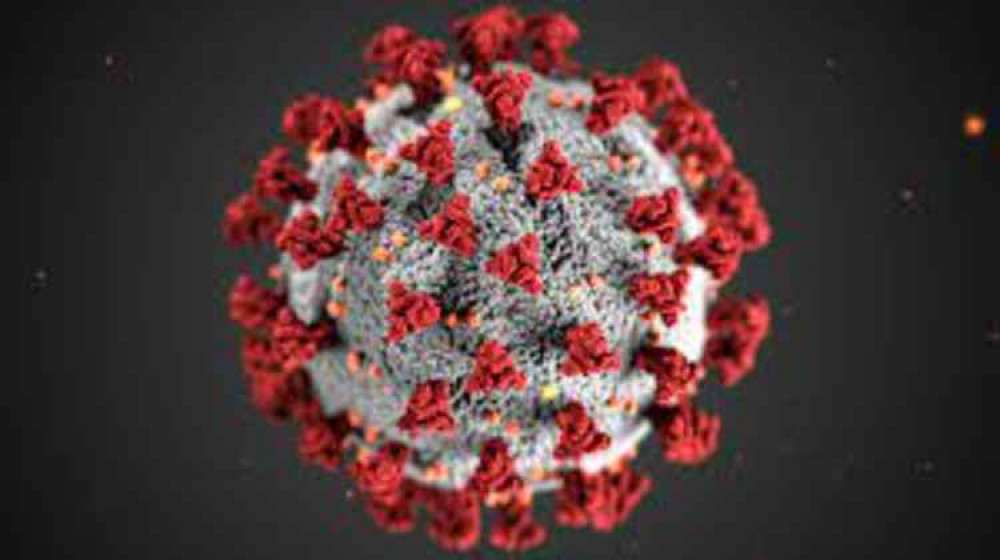 There was an increase of over 74% in the number of new coronavirus cases. Image Credit: RawpixelLtd