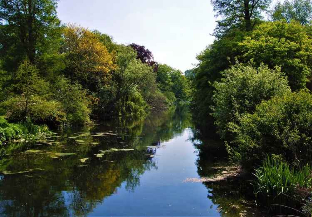 Hounslow Borough has more than 350 tree species and over 120,000 trees. Image Credit: Jim Linwood