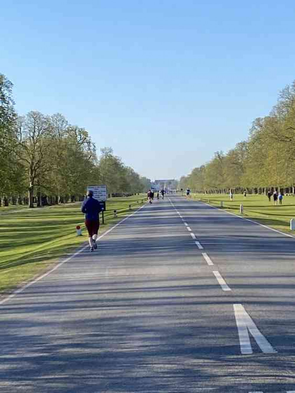 Joggers, cyclists, early morning strollers keep their distance along car-less Chestnut Avenue, Bushy Park