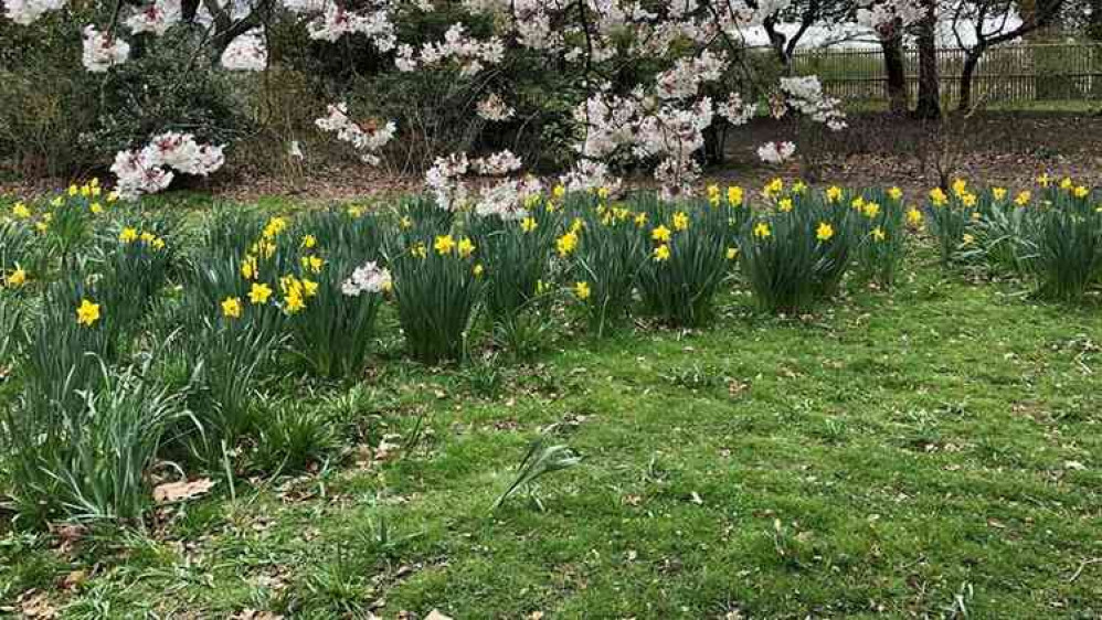 Nearby Bushy Park provides exercise and solace