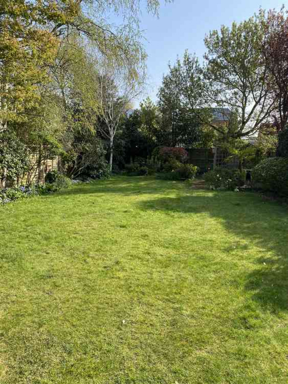 Longer grass encourages wildflowers and supports insects Longer grass encourages wildflowers and supports insects