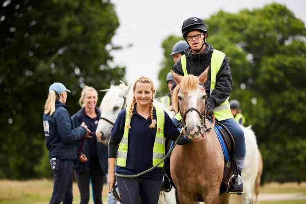 Horses from Park Lane Stables