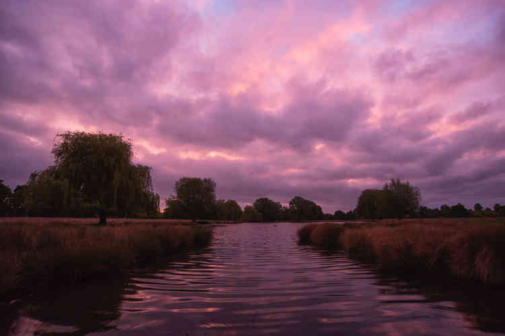 The Bushy Park sky at 5.13am The Bushy Park sky at 5.13am