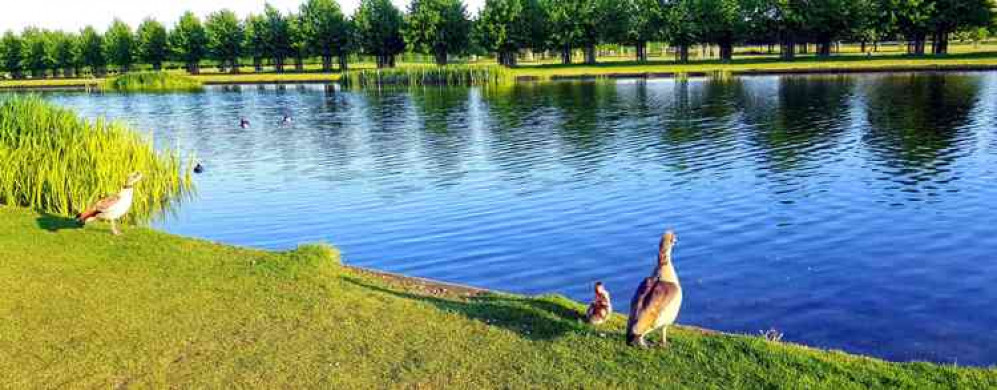 Home Park  - Photo by Carol Whichelo