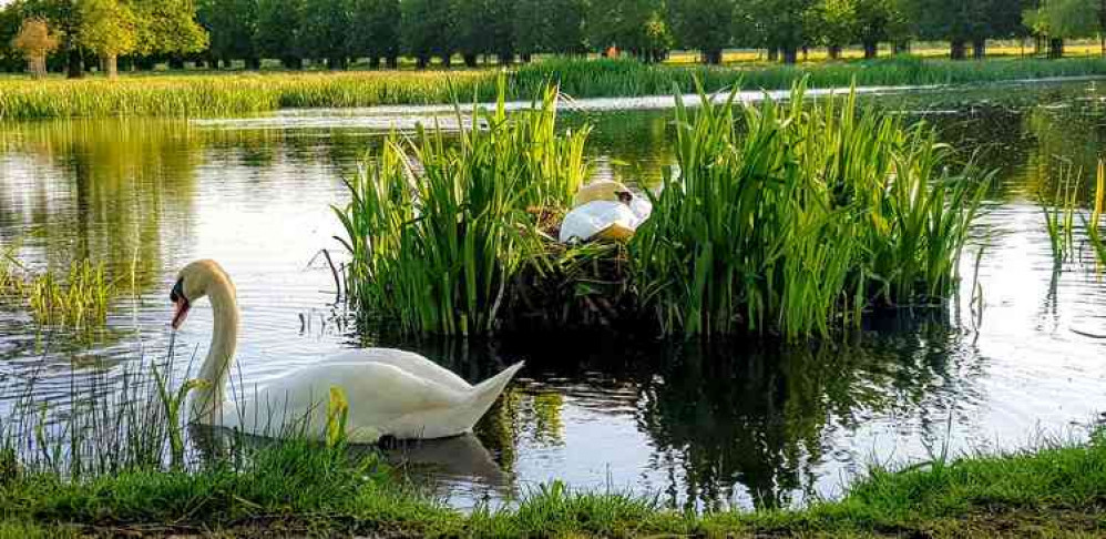 Home Park - Photo by Carol Whichelo